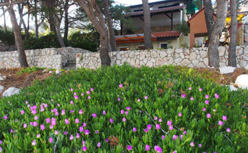 Apartment with patio