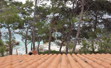 Apartment with terrace